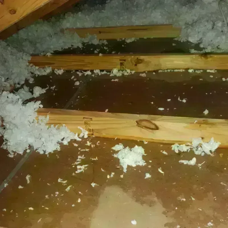 Attic Water Damage in Belchertown, MA